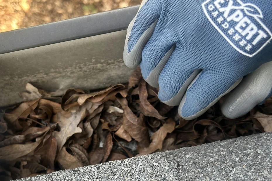 Gutter Cleaning St. Charles, MO