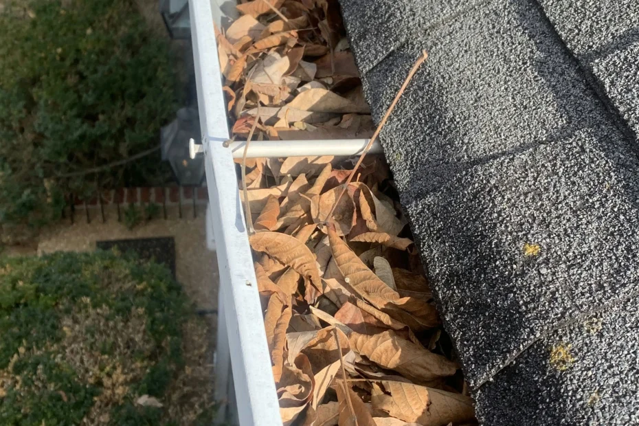 Gutter Cleaning St. Charles, MO